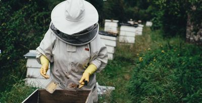 The Healing Power of Manuka Honey: Skin and Wound Care