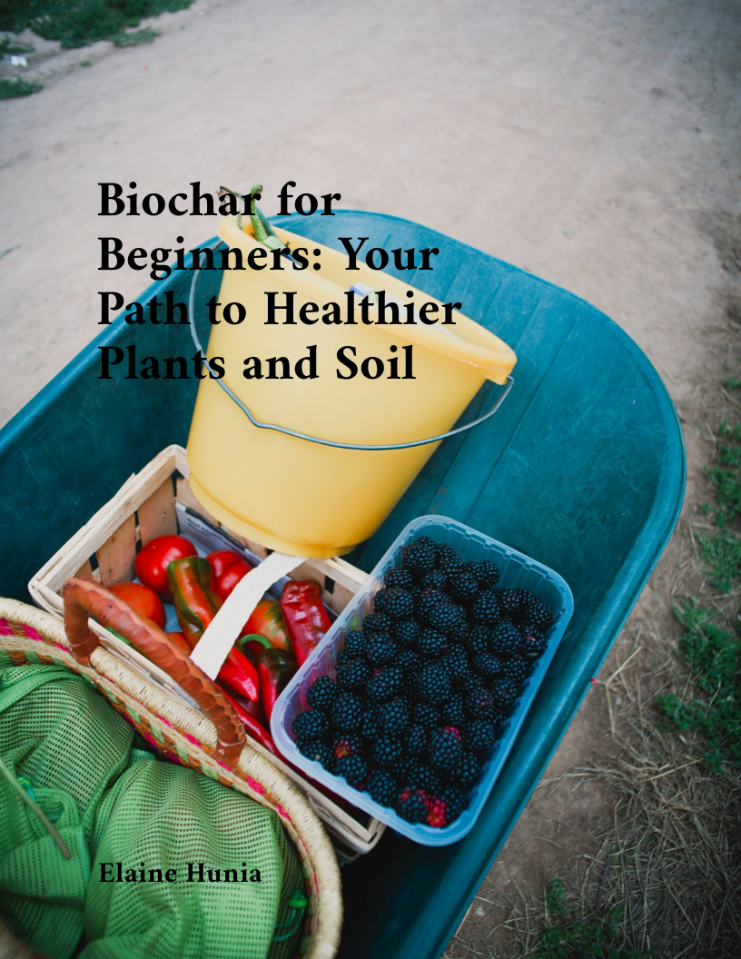 Biochair for Beginners: Your Path to Healthier Plants and Soil eBook